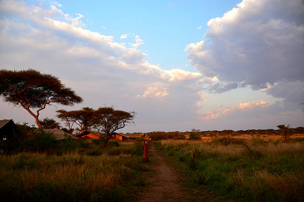 Luxury safari tent in the Serengeti during sunset, clear sky