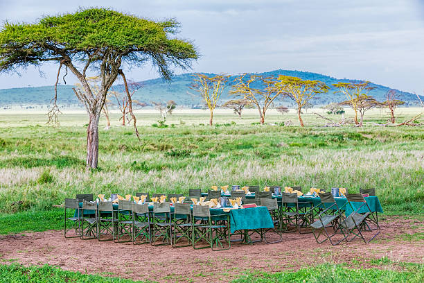 [url=http://www.istockphoto.com/search/lightbox/12062330#18b14968] "See more AFRiCAN ACACiA TREE images"  [url=file_closeup?id=19043033][img]/file_thumbview/19043033/1[/img][/url] [url=file_closeup?id=18622985][img]/file_thumbview/18622985/1[/img][/url] [url=file_closeup?id=38957430][img]/file_thumbview/38957430/1[/img][/url] [url=file_closeup?id=18776108][img]/file_thumbview/18776108/1[/img][/url] [url=file_closeup?id=19312190][img]/file_thumbview/19312190/1[/img][/url] [url=file_closeup?id=19043038][img]/file_thumbview/19043038/1[/img][/url] [url=file_closeup?id=18776153][img]/file_thumbview/18776153/1[/img][/url] [url=file_closeup?id=32291222][img]/file_thumbview/32291222/1[/img][/url] [url=file_closeup?id=32252742][img]/file_thumbview/32252742/1[/img][/url] [url=file_closeup?id=26042658][img]/file_thumbview/26042658/1[/img][/url] [url=file_closeup?id=23208156][img]/file_thumbview/23208156/1[/img][/url] [url=file_closeup?id=32328114][img]/file_thumbview/32328114/1[/img][/url] [url=file_closeup?id=43010148][img]/file_thumbview/43010148/1[/img][/url] [url=file_closeup?id=34554496][img]/file_thumbview/34554496/1[/img][/url] [url=file_closeup?id=33975860][img]/file_thumbview/33975860/1[/img][/url] [url=file_closeup?id=19540122][img]/file_thumbview/19540122/1[/img][/url] [url=file_closeup?id=19728656][img]/file_thumbview/19728656/1[/img][/url] [url=file_closeup?id=19538007][img]/file_thumbview/19538007/1[/img][/url] [url=file_closeup?id=19482583][img]/file_thumbview/19482583/1[/img][/url] [url=file_closeup?id=19536733][img]/file_thumbview/19536733/1[/img][/url] [url=file_closeup?id=19728676][img]/file_thumbview/19728676/1[/img][/url] [url=file_closeup?id=19312671][img]/file_thumbview/19312671/1[/img][/url] [url=file_closeup?id=19465943][img]/file_thumbview/19465943/1[/img][/url] [url=file_closeup?id=19388994][img]/file_thumbview/19388994/1[/img][/url]
[url=file_closeup?id=23207203][img]/file_thumbview/23207203/1[/img][/url]