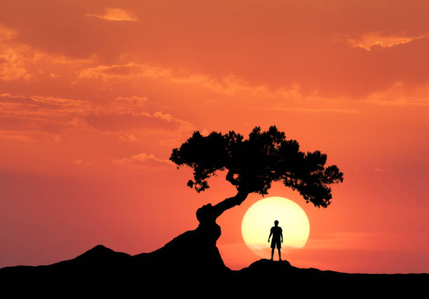 Man under the crooked tree on the background of sun. Silhouette of a standing sporty man on the mountain and colorful orange sky with clouds at sunset. Beautiful landscape in the evening. Travel